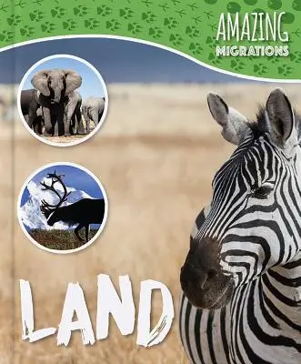 Zem - Land