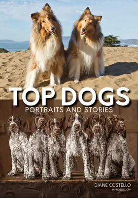 Najlepší psi: Portréty a príbehy - Top Dogs: Portraits and Stories