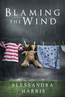 Obviňovanie vetra - Blaming the Wind