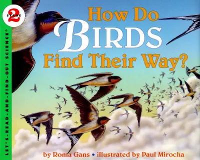 Ako si vtáky hľadajú cestu? - How Do Birds Find Their Way?