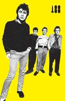 Bol som tínedžerský sexpistol - I Was a Teenage Sex Pistol