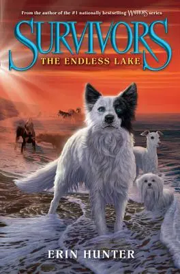 Trosečníci #5: Nekonečné jazero - Survivors #5: The Endless Lake