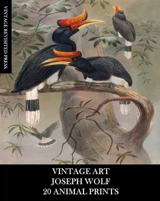 Vintage Art: Joseph Wolf: 20 odtlačkov zvierat: Zoológia: Efeméry na rámovanie, dekorácie do domácnosti, koláže a dekupáž - Vintage Art: Joseph Wolf: 20 Animal Prints: Zoology Ephemera for Framing, Home Decor, Collage and Decoupage