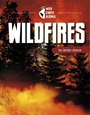 Lesné požiare - Wildfires