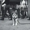 Zvládnutie pouličnej fotografie - Mastering Street Photography