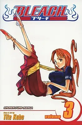 Bleach, zväzok 3 - Bleach, Volume 3