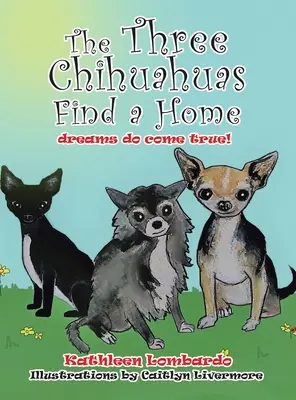 Tri čivavy našli domov - The Three Chihuahuas Find a Home