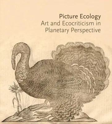 Obrazová ekológia: Umenie a ekokritika v planetárnej perspektíve - Picture Ecology: Art and Ecocriticism in Planetary Perspective