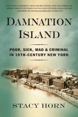 Ostrov zatratenia: Chudobní, chorí, šialení a zločinci v New Yorku 19. storočia - Damnation Island: Poor, Sick, Mad, and Criminal in 19th-Century New York