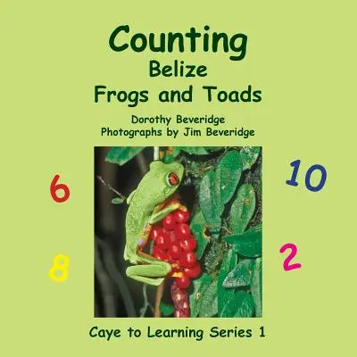 Počítanie žiab a ropúch v Belize - Counting Belize Frogs and Toads