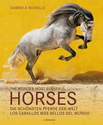 Najkrajšie kone sveta - The World's Most Beautiful Horses