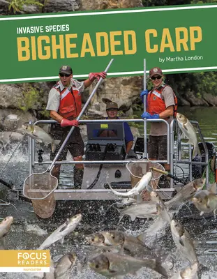 Kapor veľkohlavý - Bigheaded Carp