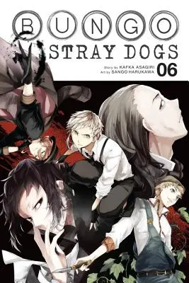 Bungo Stray Dogs, zv. 6 - Bungo Stray Dogs, Vol. 6