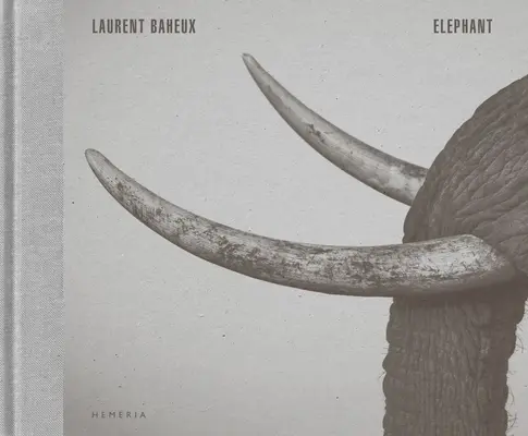 Slon - Elephant