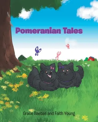 Pomeranské rozprávky - Pomeranian Tales