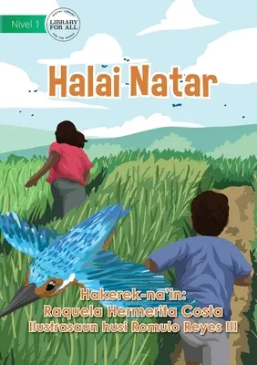 Pestovanie ryže - Halai Natar - Rice Cultivation - Halai Natar