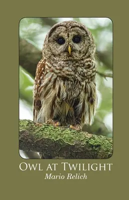 Sova za súmraku - Owl at Twilight