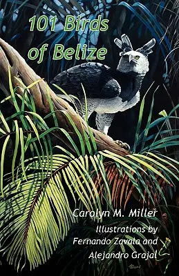 101 vtákov Belize - 101 Birds of Belize