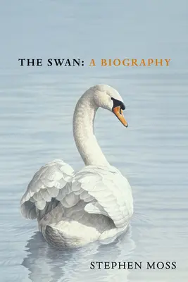 Labuť - The Swan