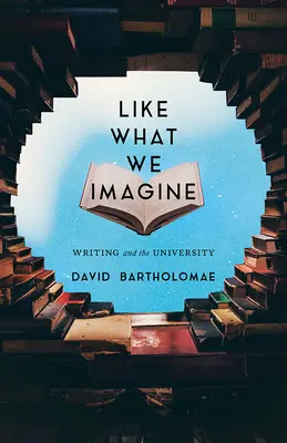 Ako si to predstavujeme: Písanie a univerzita - Like What We Imagine: Writing and the University