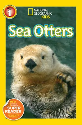 Morské vydry - Sea Otters
