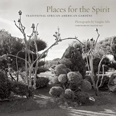 Miesta pre ducha: Tradičné afroamerické záhrady - Places for the Spirit: Traditional African American Gardens