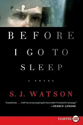 Predtým, ako idem spať - Before I Go to Sleep
