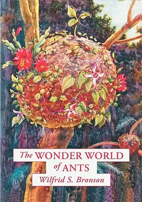 Zázračný svet mravcov - The Wonder World of Ants