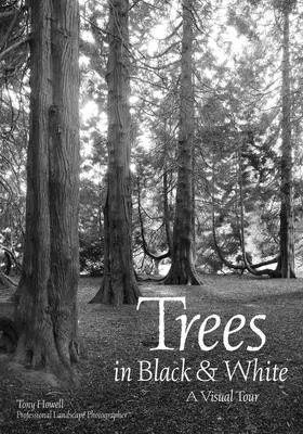 Stromy v čiernobielej farbe: Vizuálna prehliadka - Trees in Black & White: A Visual Tour