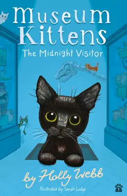 Polnočný návštevník - The Midnight Visitor