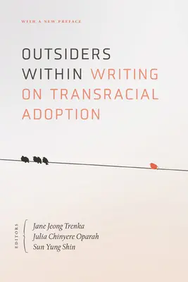 Outsiders Within: Písanie o transrasovej adopcii - Outsiders Within: Writing on Transracial Adoption