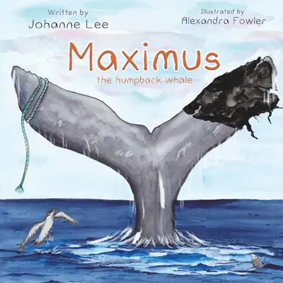 Veľryba hrbáč Maximus - Maximus the Humpback Whale