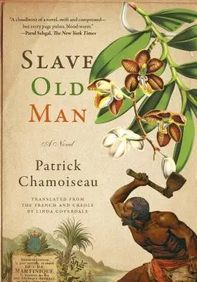 Otrok Starý muž - Slave Old Man