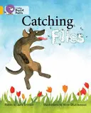 Chytanie múch - Catching Flies