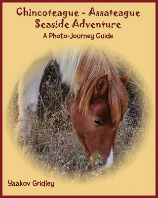 Dobrodružstvo pri mori Chincoteague-Assateague: A Photo-Journey Guide - Chincoteague-Assateague Seaside Adventure: A Photo-Journey Guide