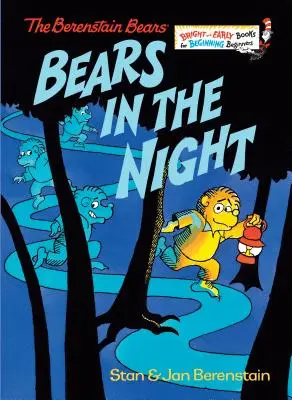 Medvede v noci - Bears in the Night