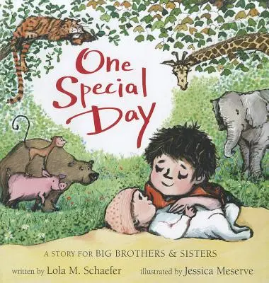 Jeden výnimočný deň: Príbeh pre veľkých bratov a sestry - One Special Day: A Story for Big Brothers and Sisters