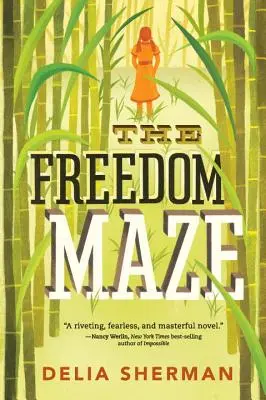 Bludisko slobody - The Freedom Maze