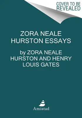 Vy nás černochov nepoznáte a iné eseje - You Don't Know Us Negroes and Other Essays