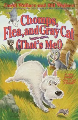 Chomps, blcha a sivá mačka (to som ja!) - Chomps, Flea, and Gray Cat (That's Me!)