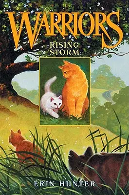 Stúpajúca búrka - Rising Storm