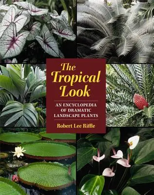 Tropický pohľad: Encyklopédia dramatických krajinných rastlín - The Tropical Look: An Encyclopedia of Dramatic Landscape Plants