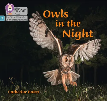 Sovy v noci - Fáza 3 - Owls in the Night - Phase 3