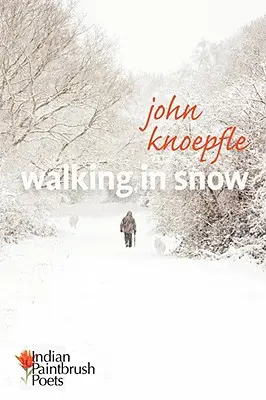Prechádzky v snehu - Walking in Snow