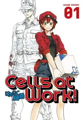 Bunky v práci!, 1. diel - Cells at Work!, Volume 1