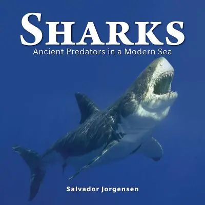 Žraloky: Starovekí dravci v modernom mori - Sharks: Ancient Predators in a Modern Sea