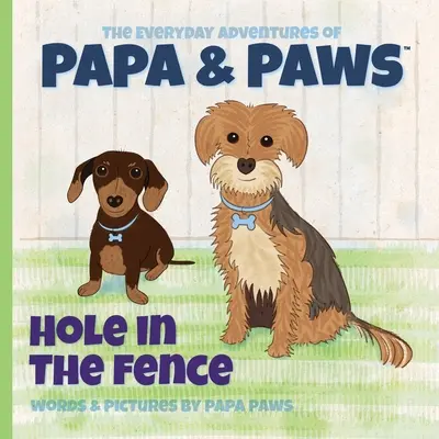 Diera v plote - Hole in the Fence