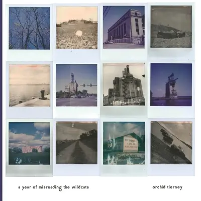 Rok nesprávneho čítania divokých mačiek - A Year of Misreading the Wildcats