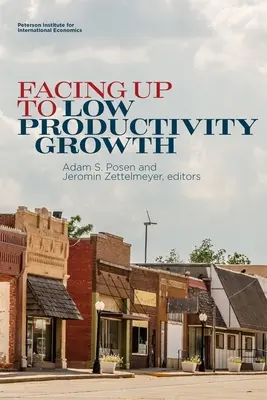 Čelíme nízkemu rastu produktivity - Facing Up to Low Productivity Growth