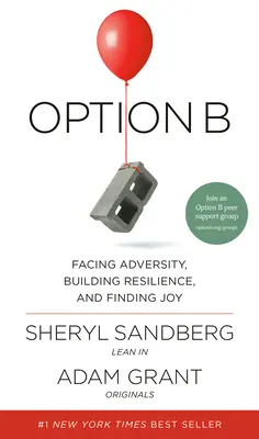 Možnosť B: Čelenie nepriazni osudu, budovanie odolnosti a hľadanie radosti - Option B: Facing Adversity, Building Resilience, and Finding Joy